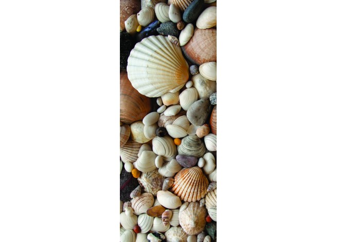 Наклейка на дверь Морские ракушки и камни